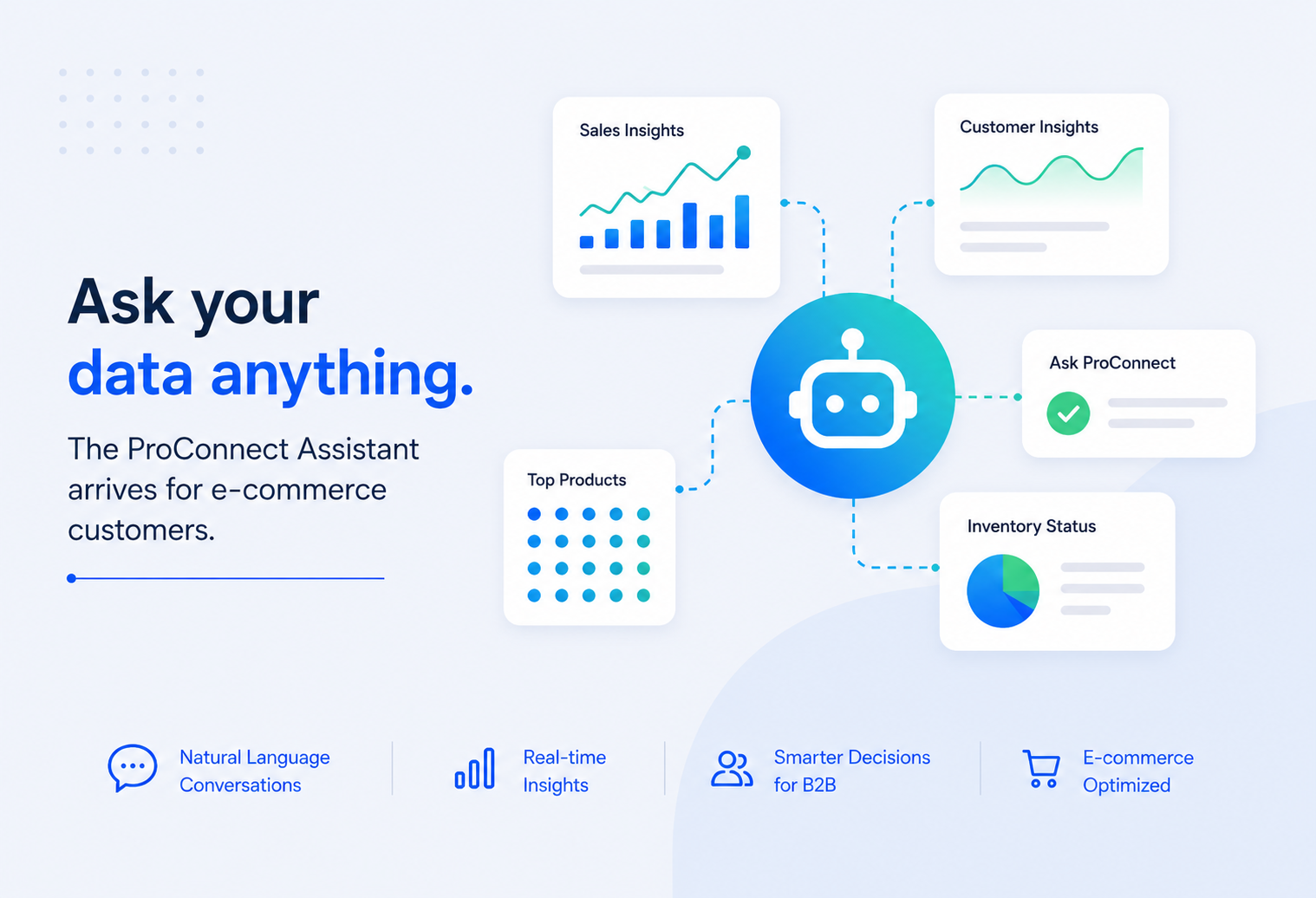 Ask your data anything: ProConnect Assistant for e-commerce